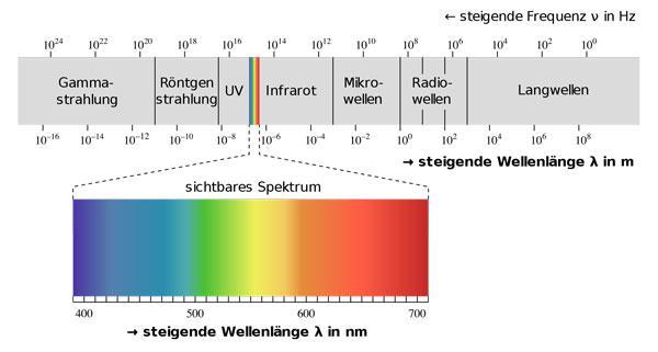 Wellenspektrum